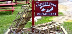 LobsterPool250x120